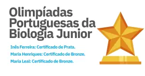 image de blog